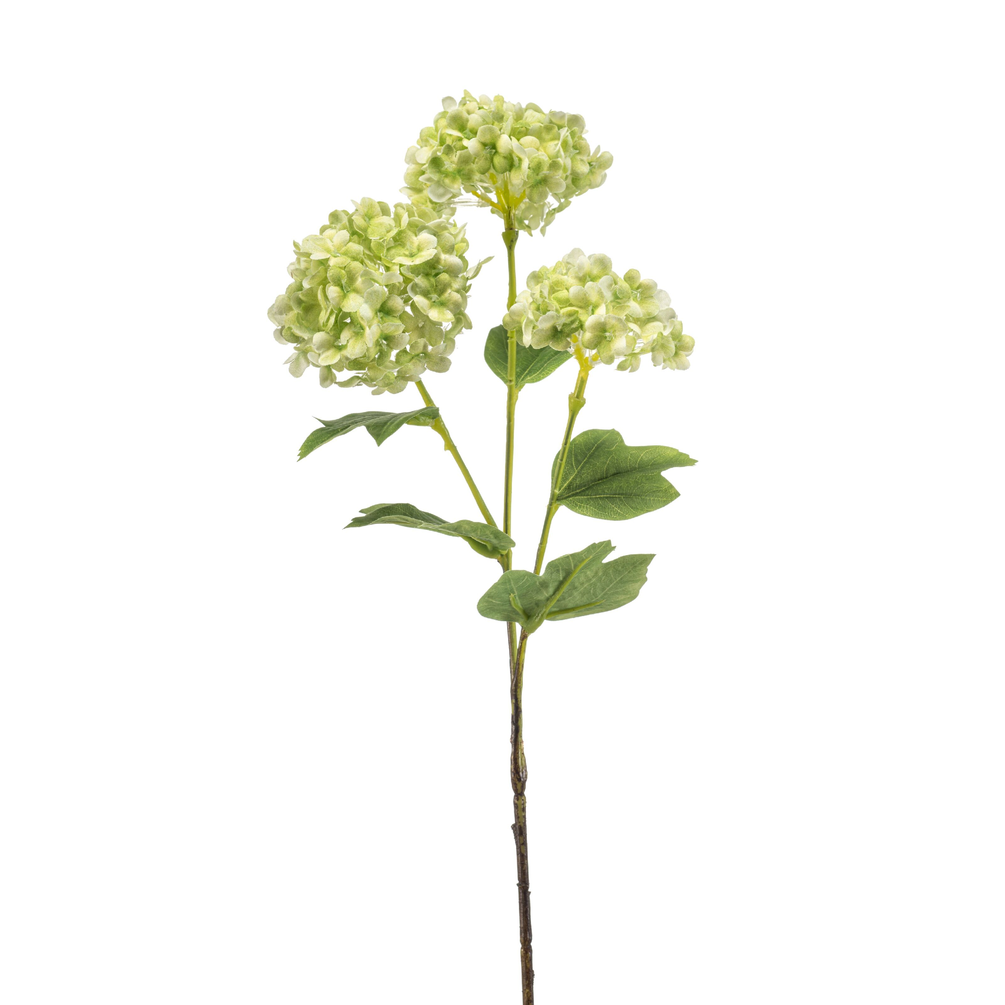 Vibumum - 8714344533521