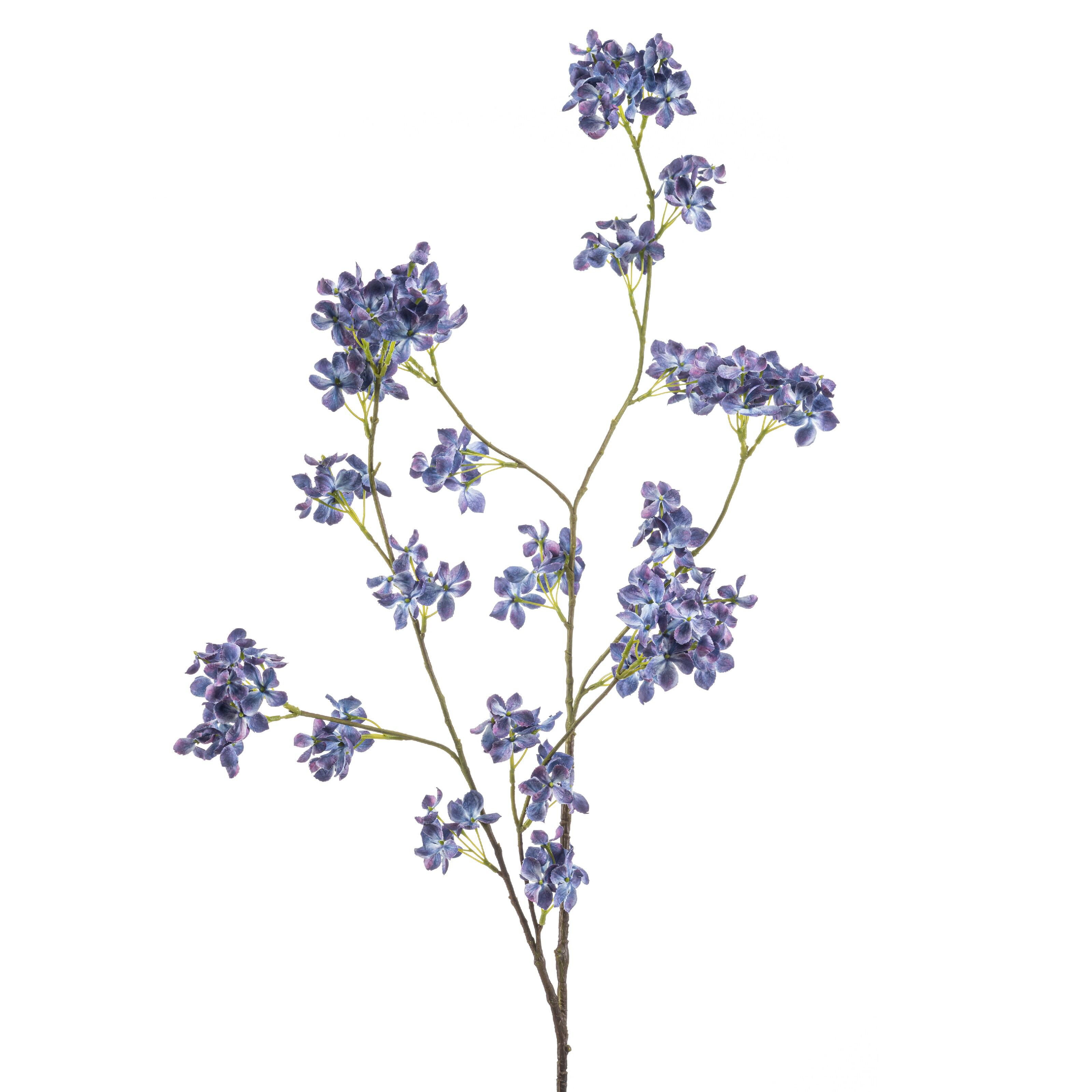 Hydrangea - 8714344533262