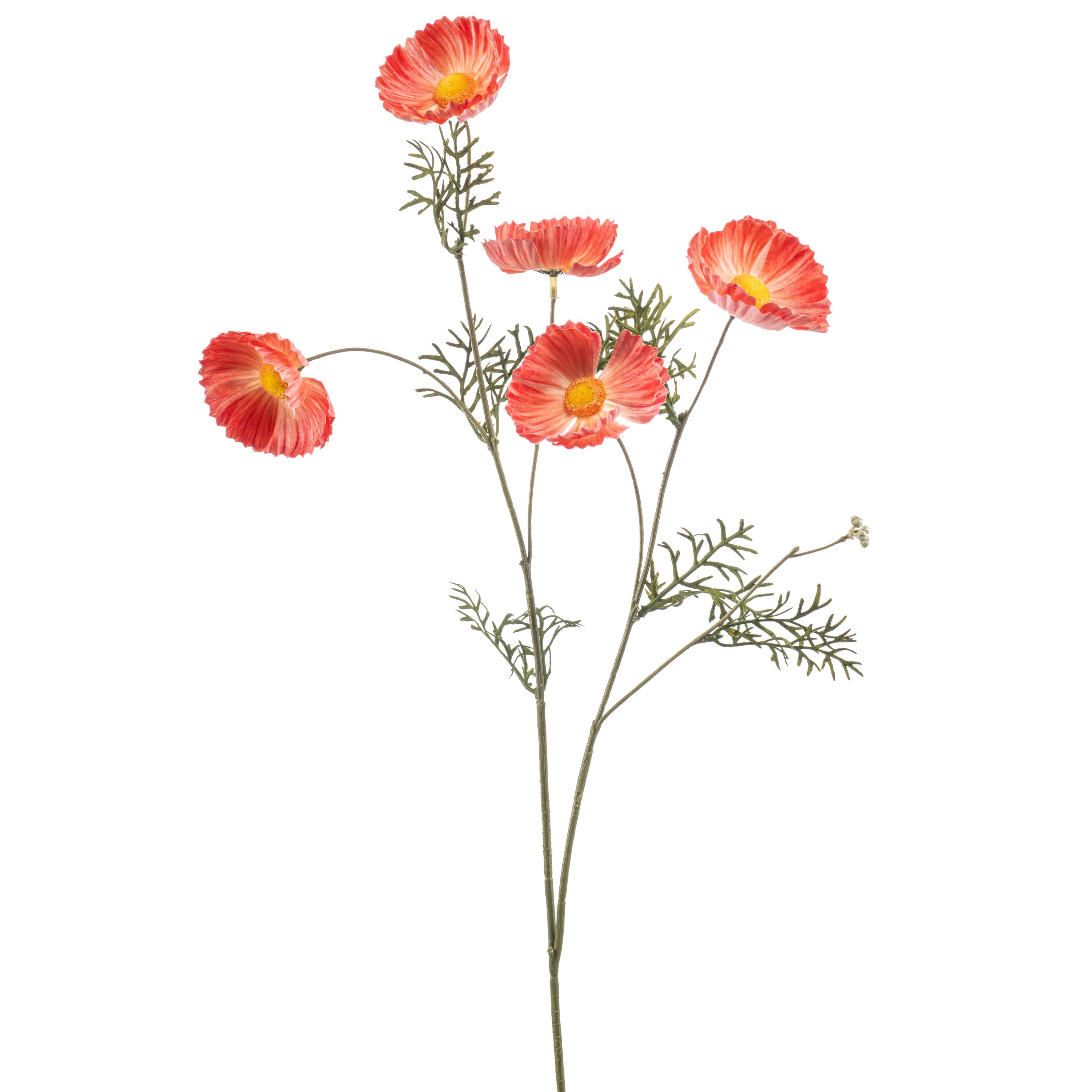 Cosmos - 8714344530049