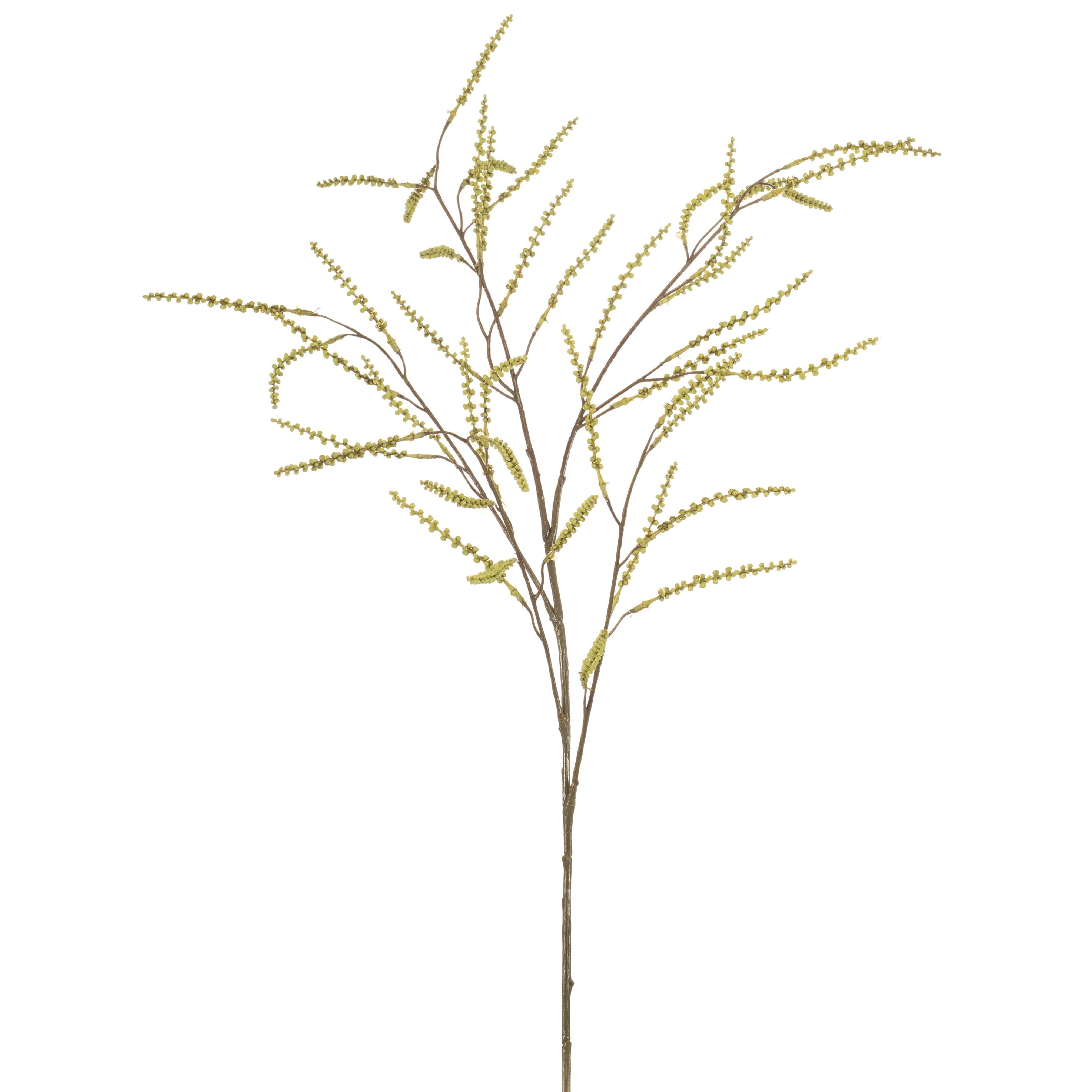 Tamarisk - 8714344537451