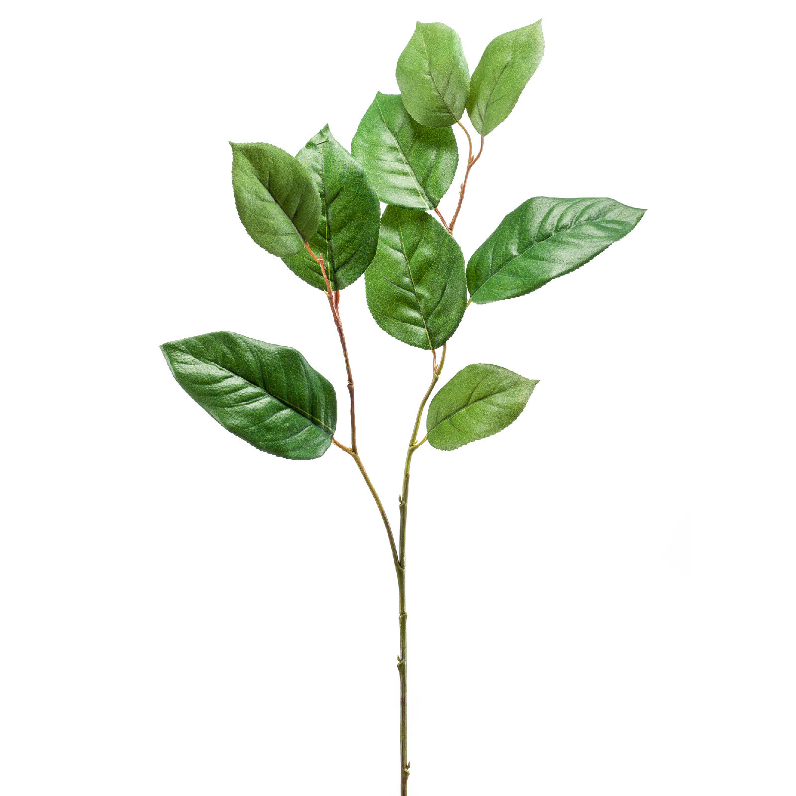 Shallon - 8714344220872